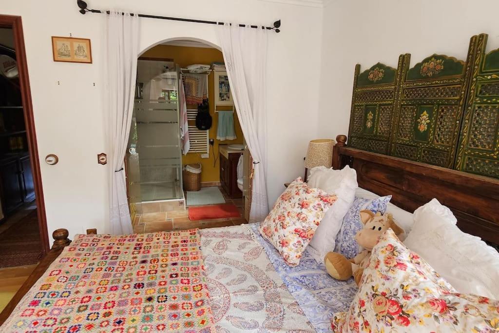 Villa La Paz 2 Puerto de la Cruz Kültér fotó